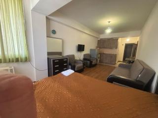 Holiday Inn Bakuriani - 2