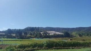 Mass Cabana &Holiday Homes - Nuwara Eliya - 3