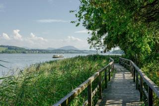Seebühnenblick - Seeham - 5