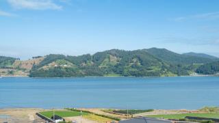 Namhae Ryu&Lee Pet Pension - 5