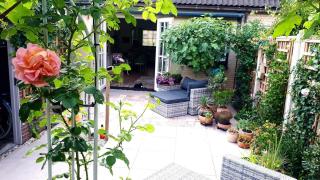 Your - Hanoi - 3