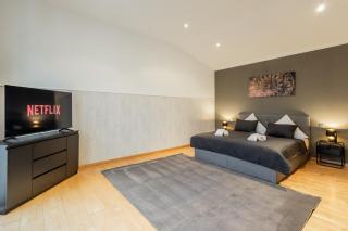 Wellness Home I Sauna I Jacuzzi I Gasgrill - Sassenberg - 6