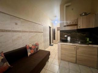 Studio apartment metro Pechersk - Kiev - 1