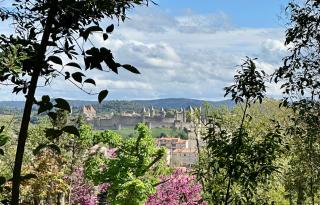 Chambre avec vue - Carcassonne - 9