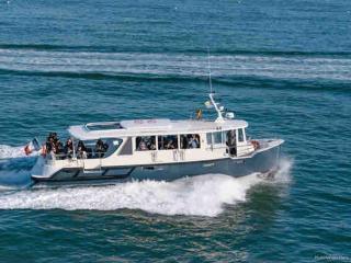 Élégant mobil-home - 2