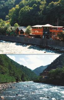 Serinle Bungalow - Rize - 9