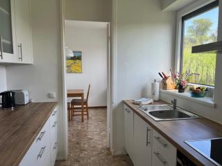 Uferschwalbe - Hohwacht - 5