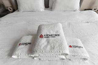 Stonetree - Cozy 1 BR at MBL Near Metro - 5