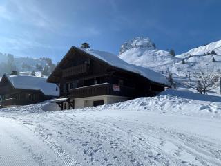 Chalet confortable au Praz de Lys - 4 chambres - FR-1-815-2 - Taninges - 0