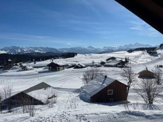 Chalet confortable au Praz de Lys - 4 chambres - FR-1-815-2 - Taninges - 2