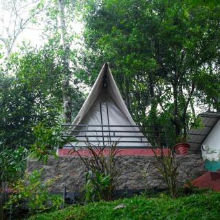The woods inn - Munnar - 5