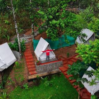 The woods inn - Munnar - 2