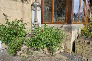 Meadow Rise Guest House - 7
