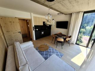 Apartment in Krkono e near Ski Slopes - 4