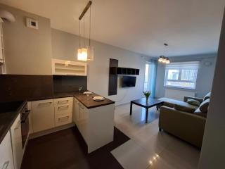 Tauzen Apartaments 216 - Kattowitz - 4
