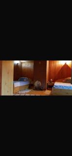 Casa cabana de inchiriat - Poiana Ţapului - 9