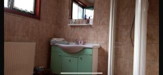 Casa cabana de inchiriat - 8