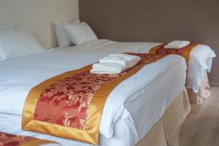 Simply travel-Bloom - Osaca - 2
