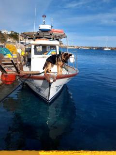 Poseidon boat trips - Svoronata - 0