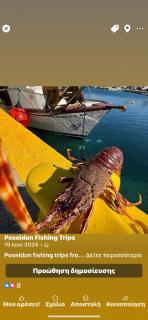 Poseidon boat trips - 7