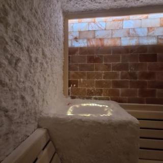 Zlatibor apartman Luxury & Spa dijana - Zlatibor - 7
