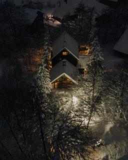 Rustic Hideaway - Brezovica Cabin - Brezovica - 9