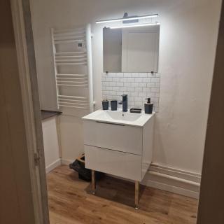 Bel appartement cosy - Fleury-les-Aubrais - 5