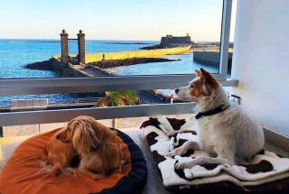 Hotel Miramar - Arrecife - 1