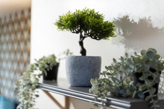 Cosy Apartment- City Centre - Free Parking-Sleep 5 - Birmingham - 6