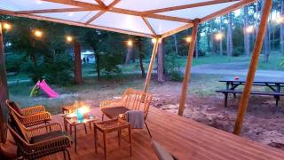 Cozy Chalet w terrace in the Middle of the Forest in Veluwe - Doornspijk - 3
