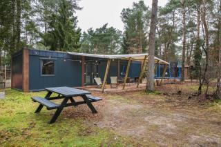 Cozy Chalet w terrace in the Middle of the Forest in Veluwe - Doornspijk - 2