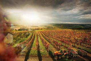 Sonnenterrasse Klöcklschuster - 3