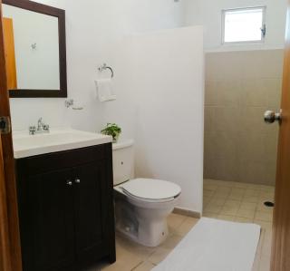 Azul Mar Diving and Lodge - Puerto Morelos - 6