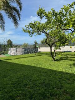 Memisan House - Somma Vesuviana - 9