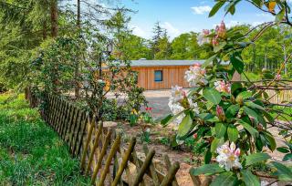 Gorgeous Home In Thale -Friedrichsbrunn - Friedrichsbrunn - 5