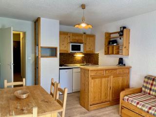 Studio confortable, pied de pistes au cœur des Deux Alpes, animaux admis - FR-1-811-26 - Les Deux Alpes - 0
