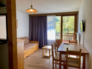 Studio confortable, pied de pistes au cœur des Deux Alpes, animaux admis - FR-1-811-26 - Les Deux Alpes - 9