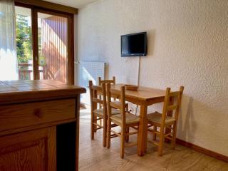 Studio confortable, pied de pistes au cœur des Deux Alpes, animaux admis - FR-1-811-26 - Les Deux Alpes - 6