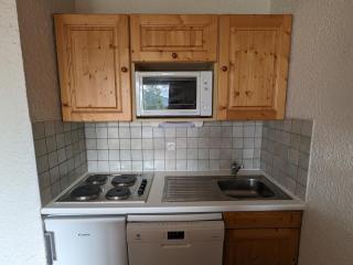 Studio familial, animaux admis, au pied des pistes - FR-1-811-16 - Les Deux Alpes - 7
