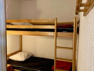 Duplex cosy sous les toits, pied des pistes, animaux admis - FR-1-811-21 - Les Deux Alpes - 6