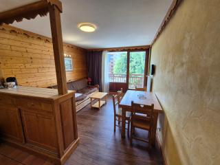 Studio lumineux, pied des pistes, animaux admis - FR-1-811-27 - Les Deux Alpes - 8
