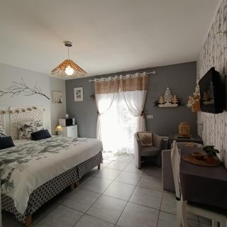 Le balcon des cimes - Adast - 4