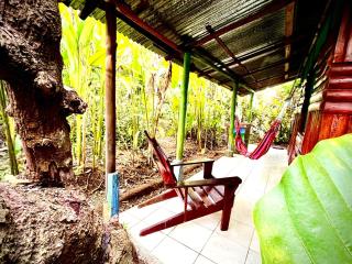 Casa Osa Bella de Arte - Puerto Jiménez - 4