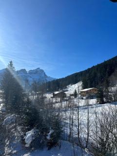 Serene 3BR Apartment with Premier Ski Access - Gsteig - 8