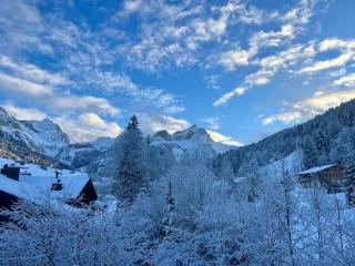 Serene 3BR Apartment with Premier Ski Access - Gsteig - 7