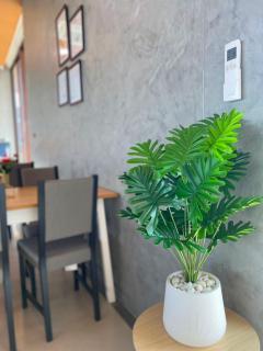 Sunrise Resort & Cafe - ซันไรส์ รีสอร์ท & คาเฟ่ - Nakhon Phanom - 5
