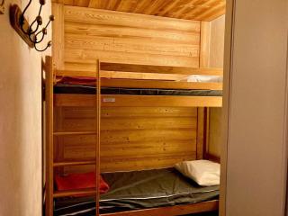 Studio chaleureux au pied des pistes, animaux admis - FR-1-811-9 - Les Deux Alpes - 3