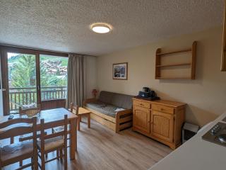 Studio fonctionnel avec balcon, au pied des pistes, animaux admis - FR-1-811-32 - Les Deux Alpes - 0