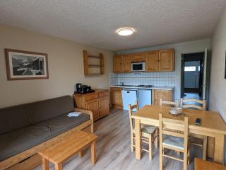 Studio fonctionnel avec balcon, au pied des pistes, animaux admis - FR-1-811-32 - 8