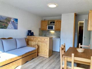 Studio confortable pour 4 pers., animaux admis, proche des pistes - FR-1-811-38 - Les Deux Alpes - 0